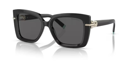 Tiffany And Co. 0TF4199 8001S4 Black Sunglasses