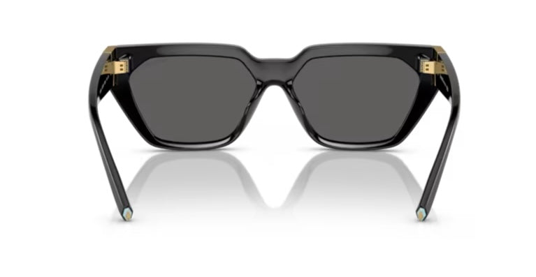 Tiffany And Co. 0TF4205U Black Sunglasses