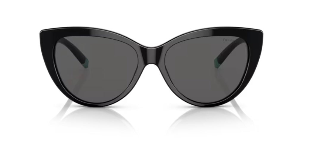 Tiffany And Co. 0TF4196 8001S4 Black Sunglasses