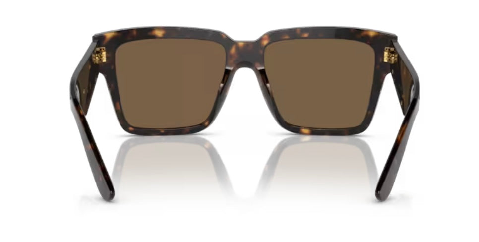 Dolce and Gabbana 0DG4436 Havana Sunglasses