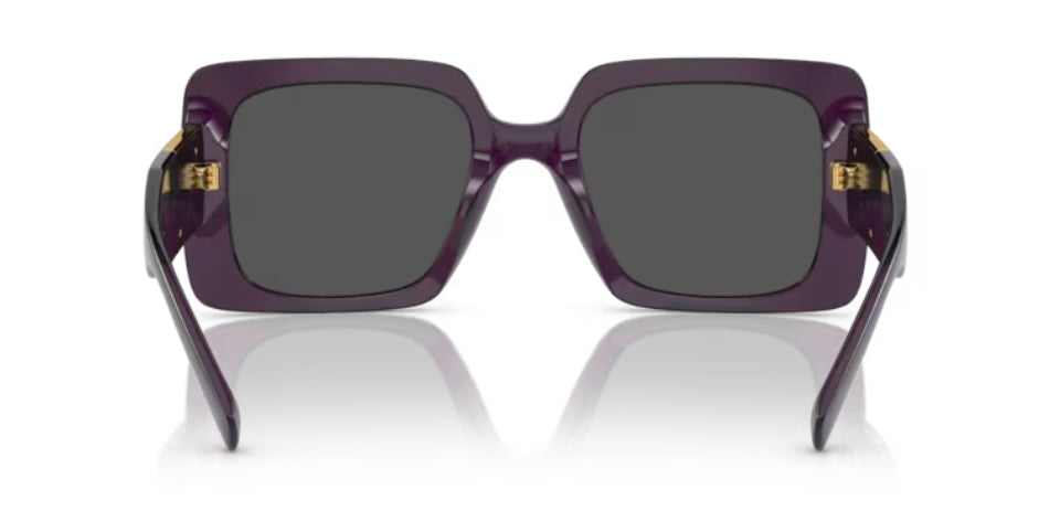 Versace 0VE4405 Transparent Purple Sunglasses