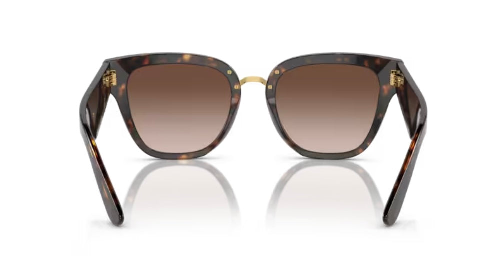 Dolce and Gabbana 0DG4437 Havana Sunglasses