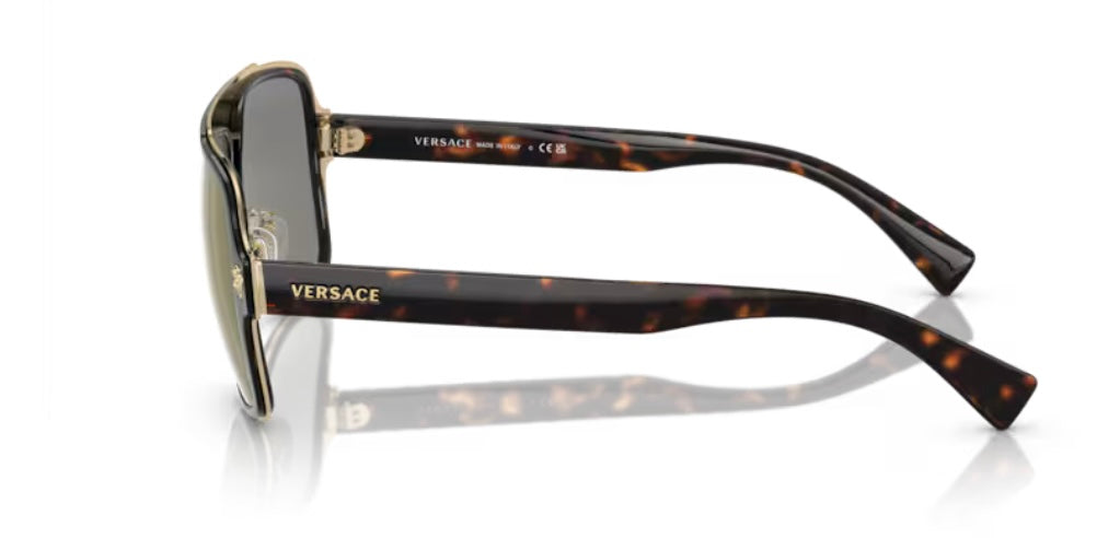 Versace 0VE2199 Havana Sunglasses