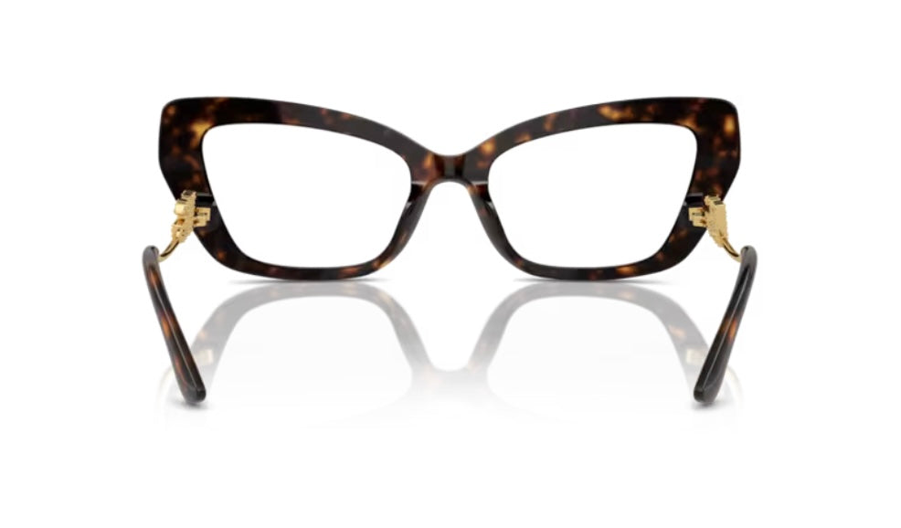 Dolce and Gabbana 0DG3391B 502 Havana Eyeglasses