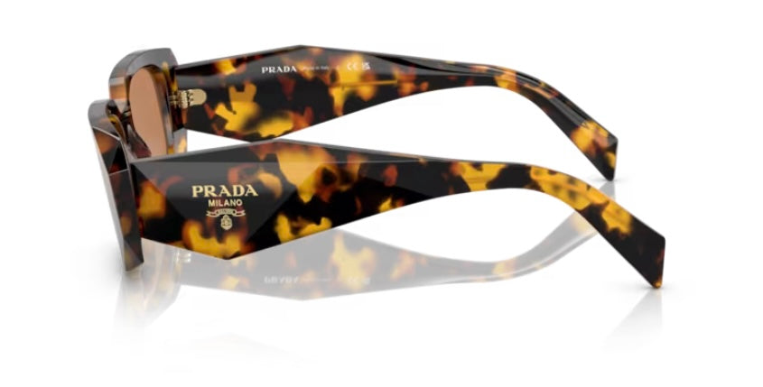 Prada 0PR 17WS Honey Tortoise Sunglasses