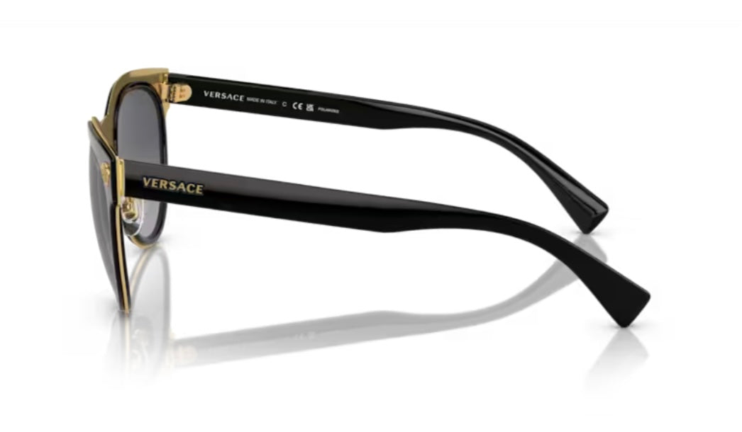 Versace 0VE2198 Black Polarized Sunglasses