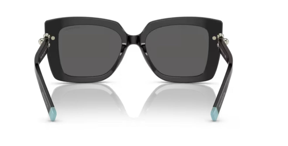 Tiffany And Co. 0TF4199 8001S4 Black Sunglasses