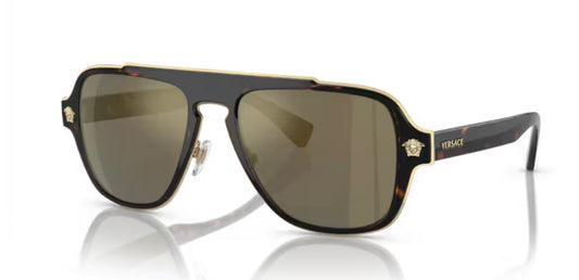 Versace 0VE2199 Havana Sunglasses