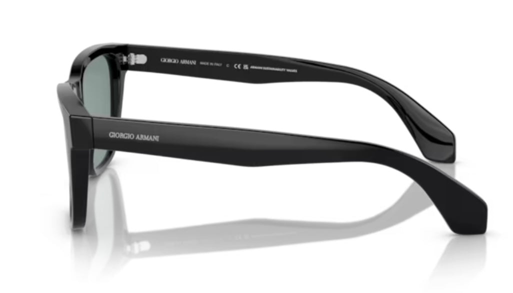 Giorgio Armani 0AR8155 Black Sunglasses