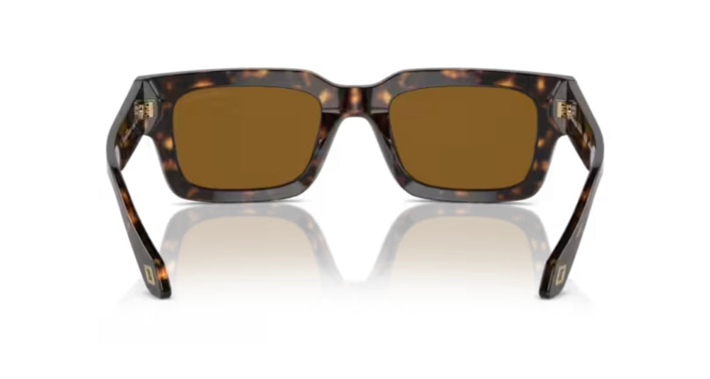 Giorgio Armani 0AR8184U Havana Sunglasses