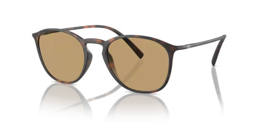 Giorgio Armani 0AR8186U Havana Sunglasses