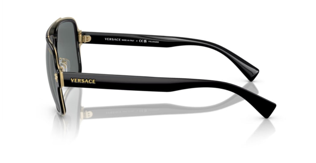 Versace 0VE2199 Black Polarized Sunglasses