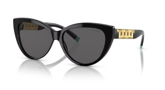 Tiffany And Co. 0TF4196 8001S4 Black Sunglasses