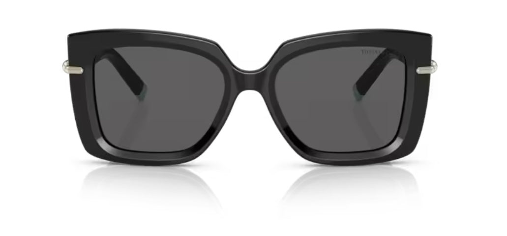 Tiffany And Co. 0TF4199 8001S4 Black Sunglasses