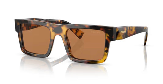 Prada 0PR 19WS Honey Tortoise Sunglasses