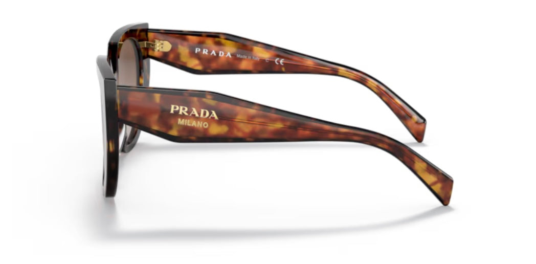 Prada 0PR 14WS Tortoise Sunglasses