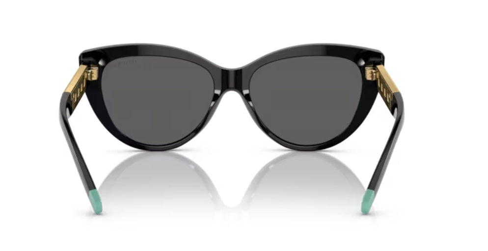 Tiffany And Co. 0TF4196 8001S4 Black Sunglasses