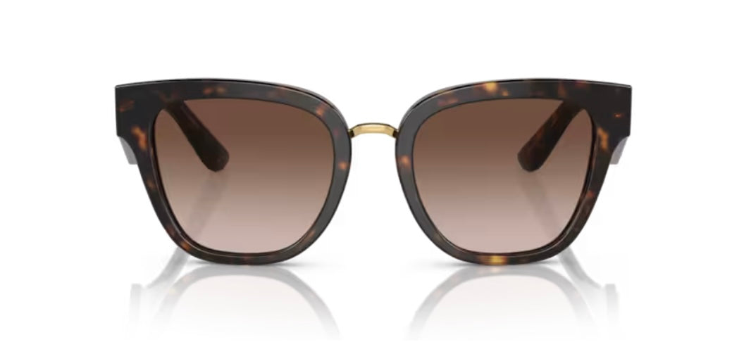 Dolce and Gabbana 0DG4437 Havana Sunglasses