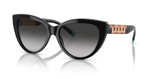 Tiffany And Co. 0TF4196 80013C Black Sunglasses