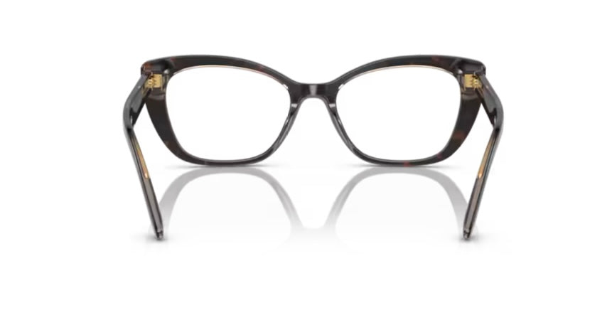 Dolce and Gabbana 0DG3360 3256 Havana Transparent Brown Eyeglasses