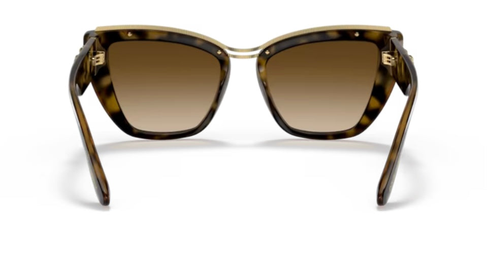 Dolce and Gabbana 0DG6144 Havana Sunglasses