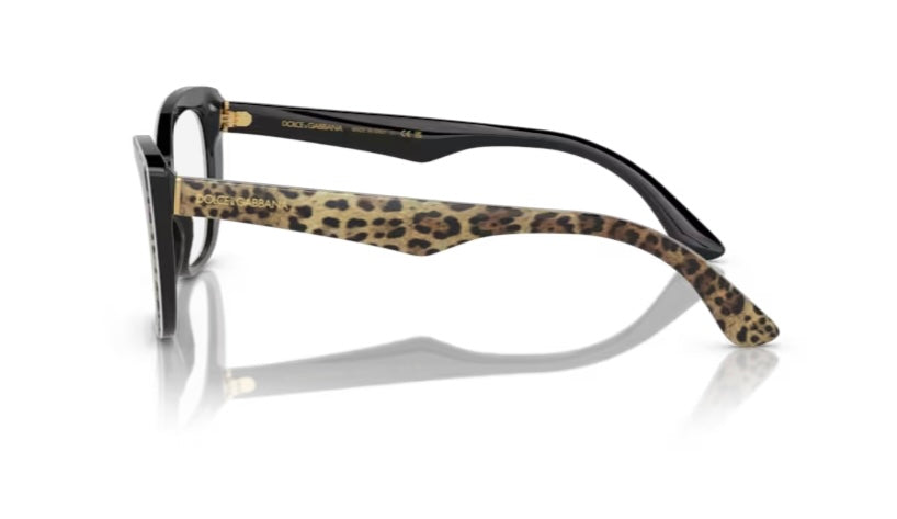 Dolce and Gabbana 0DG3360 3163 Leo Brown Black Eyeglasses